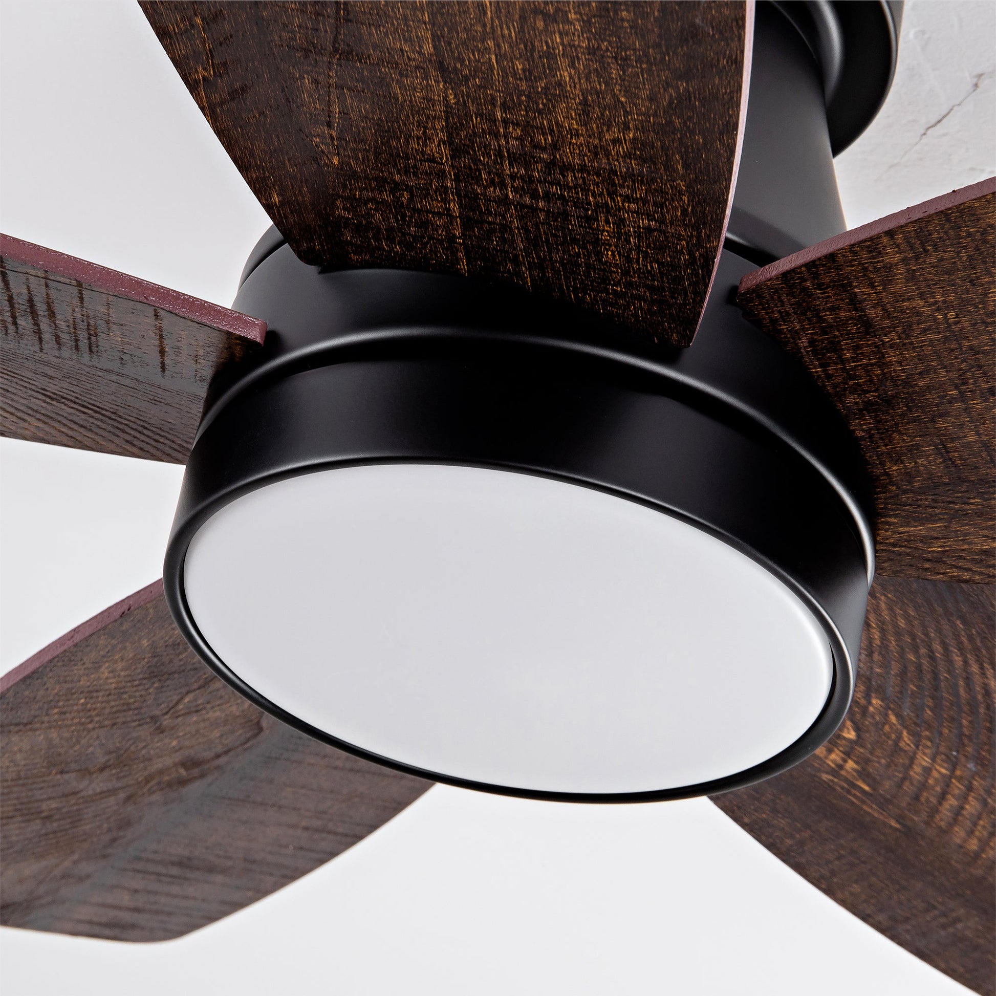 Ceiling fan with dark wood blades and black motor housing on Tampa Home & Garden Store