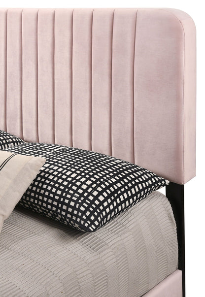Channel Tufted Bed headboard in blush pink velvet with vertical channels, HouseOfZazla on Tampa Home & Garden Store