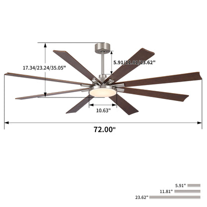 Ceiling fan 8-blade with dimmable LED light, remote, reversible DC motor HouseOfZazla on Tampa Home & Garden Store