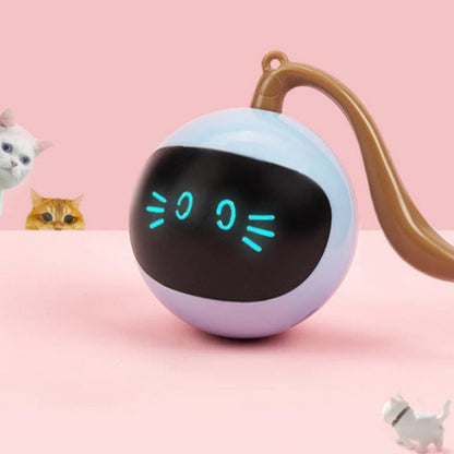 Pet Smart Interactive Colorful LED Rotating Ball pastel blue sphere with face Sell My Stuff on Tampa Home & Garden Store