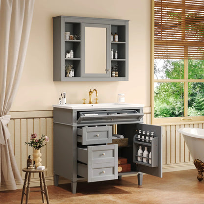 Bathroom vanity with mirror cabinet in gray, single sink, 2 soft closing doors and 4 drawers on Tampa Home & Garden Store