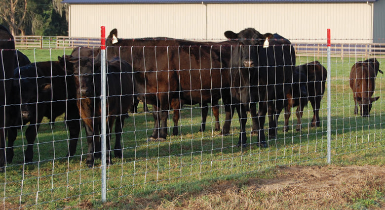 Farm Fence 4ft x 328ft 14-Gauge zinc-coated cattle wire fence with metal posts in pasture on Tampa Home & Garden Store