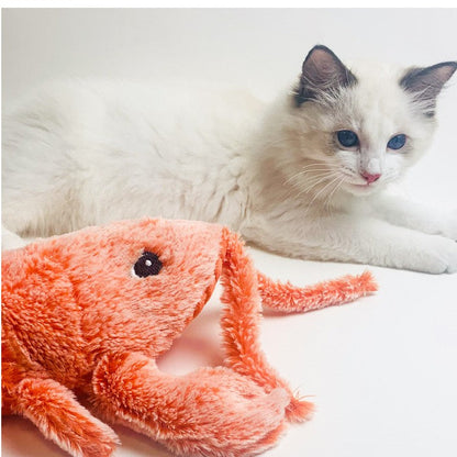 Plush lobster toy in orange beside a white fluffy cat on Tampa Home & Garden Store