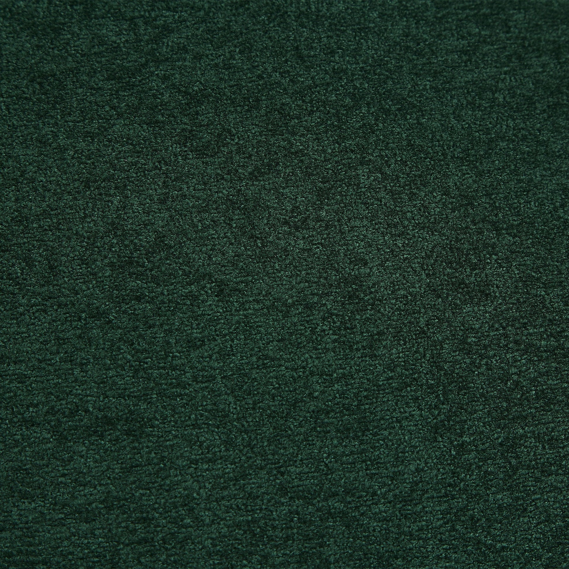 Close-up of dark emerald green carpet fibers with textured pile on Tampa Home & Garden Store