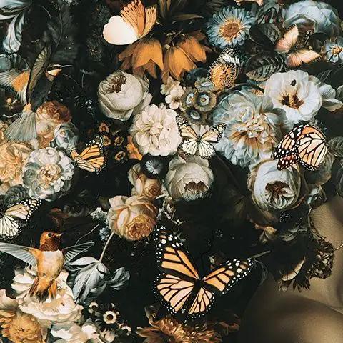 Valfer Wall Art Orange Black White Butterflies