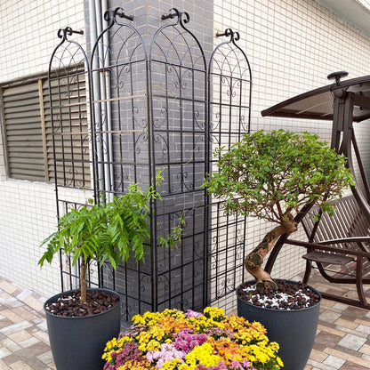 Metal Trellis For Climbing Plants And Vines