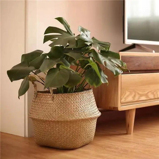 Scandinavian wicker plant pot and floor basket with Monstera, natural fiber planter on Tampa Home & Garden Store
