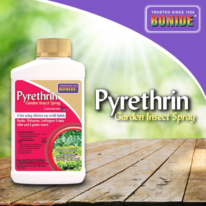 Bonide Pyrethrin Garden Insect Spray Concentrate bottle, white with tan cap, garden pest spray on Tampa Home & Garden Store