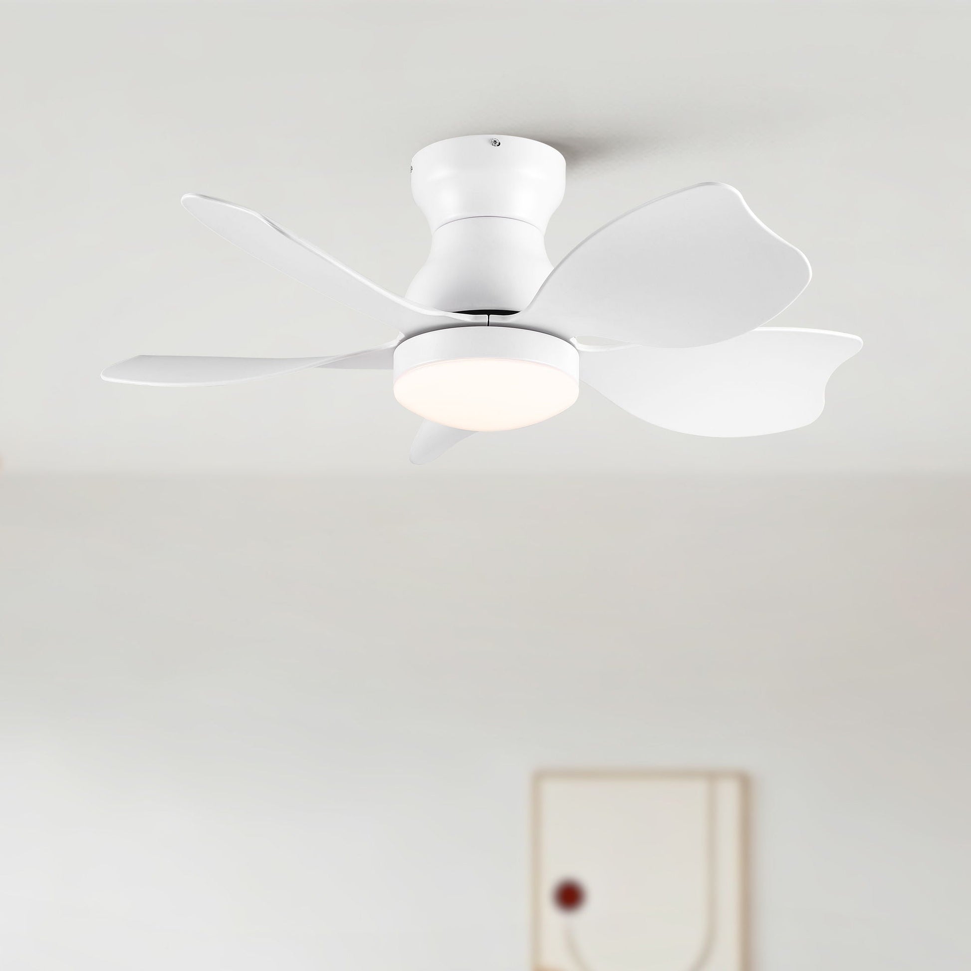 Low profile flush-mount ceiling fan with light, white finish and curved blades on Tampa Home & Garden Store