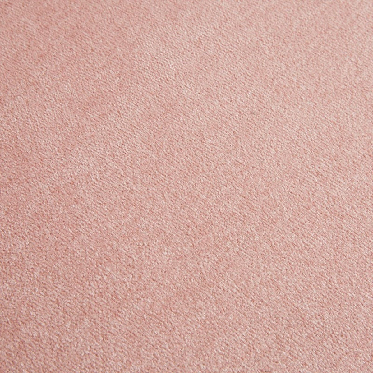 Soft pink carpet texture close-up on Tampa Home & Garden Store