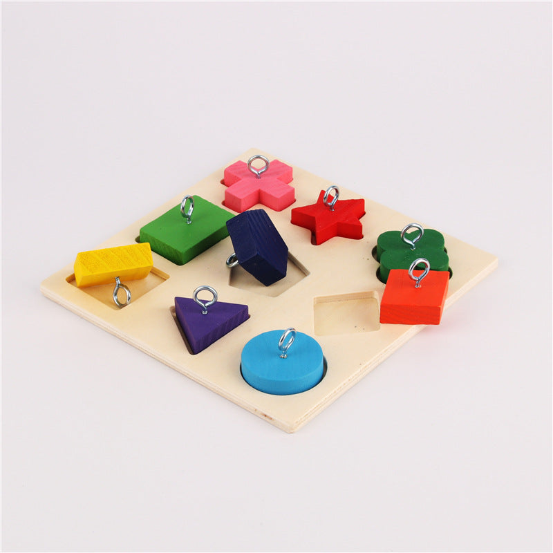 Parrot training toy with 9 colorful wooden blocks on a light wooden board with metal rings on Tampa Home & Garden Store