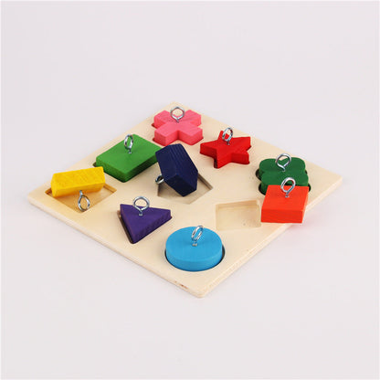 Parrot training toy with 9 colorful wooden blocks on a light wooden board with metal rings on Tampa Home & Garden Store