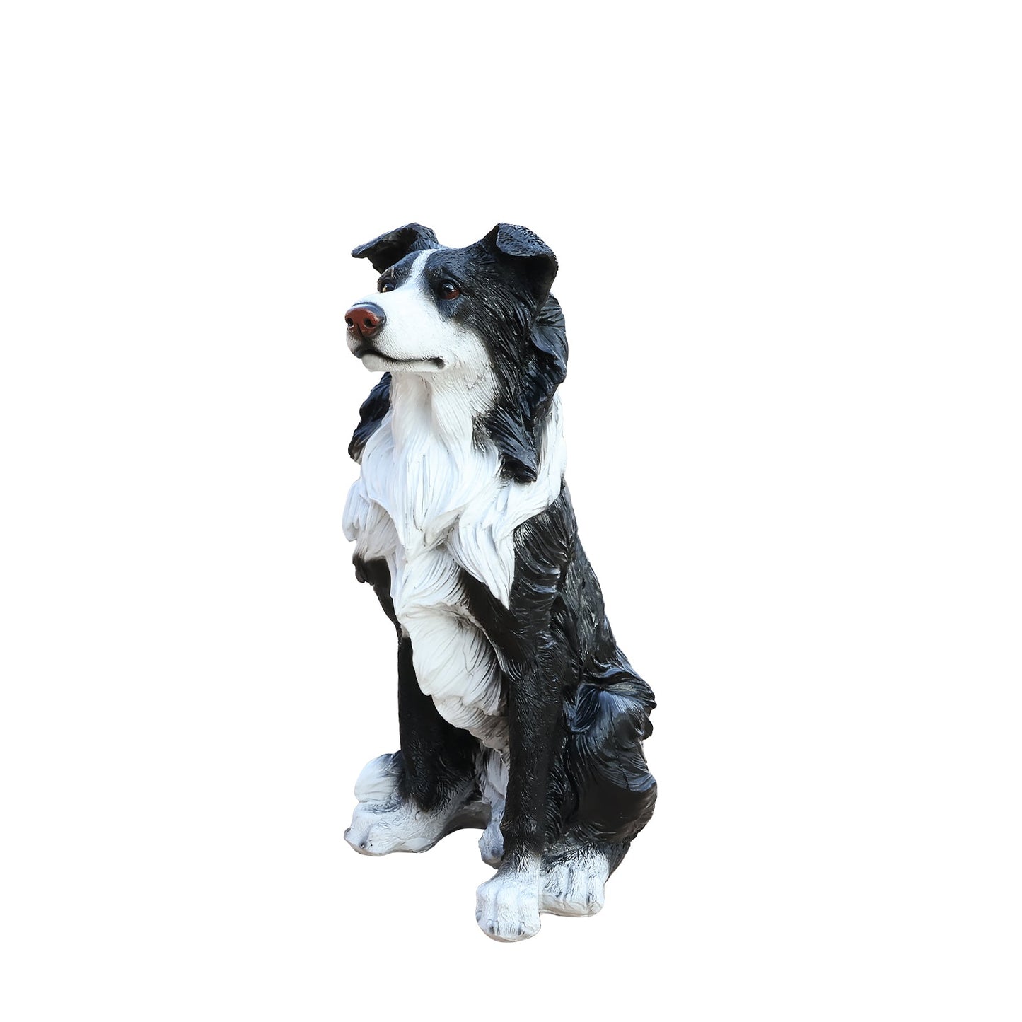Outdoor garden border collie dog statue greeter in black and white, lifelike fur on Tampa Home & Garden Store