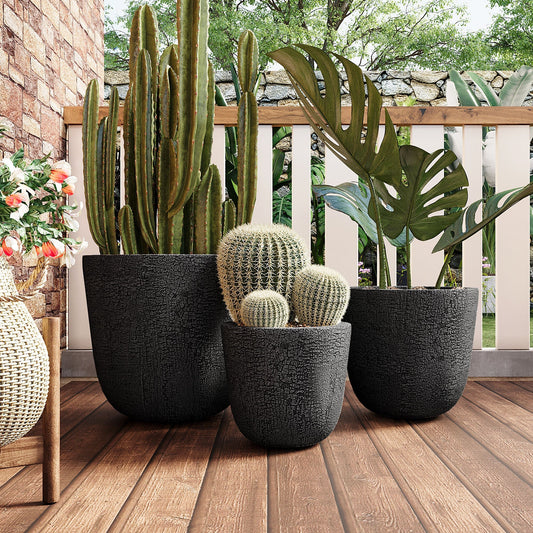 U_STYLE Lightweight MGO Planter Set of 3 in textured black pots with cacti and succulents on Tampa Home & Garden Store