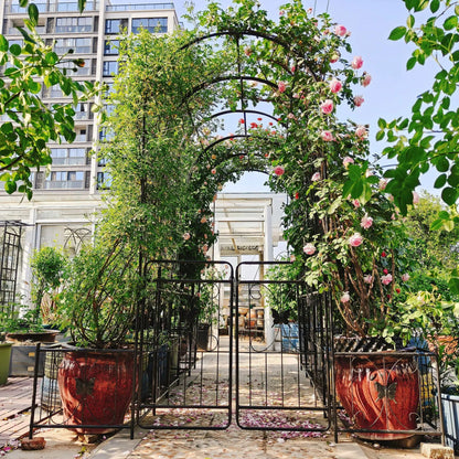Metal garden arch with gate black finish, rose climbing plant support outdoor decor on Tampa Home & Garden Store