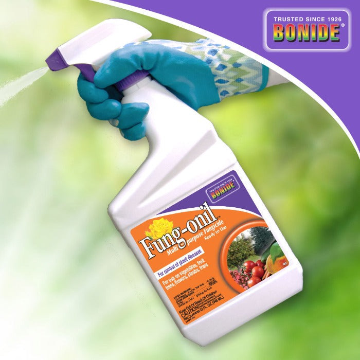 Bonide Fungonil Ready-To-Spray liquid pesticide orange label purple nozzle on Tampa Home & Garden Store