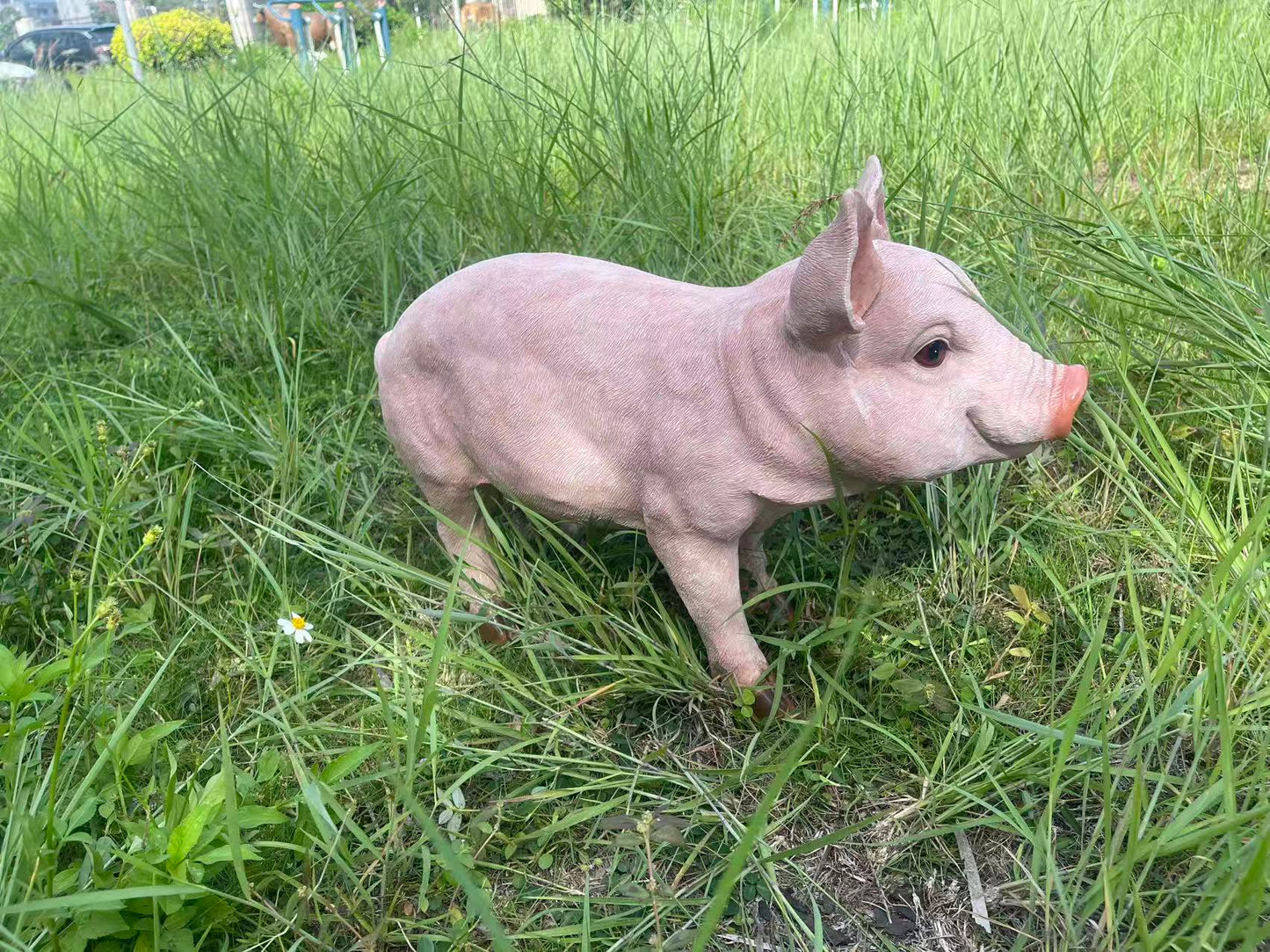Cheerful Beige Pig Garden Statue by HouseOfZazla in grassy yard on Tampa Home & Garden Store