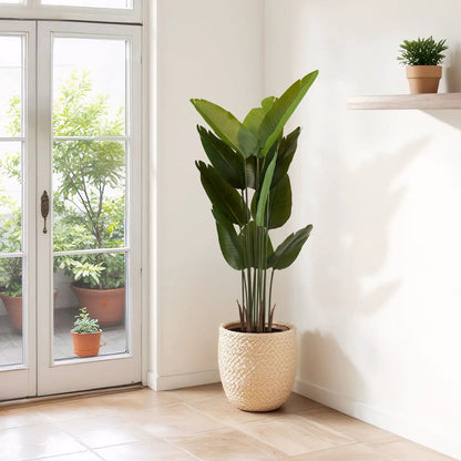 Artificial Plant for Indoor and Outdoor Decoration