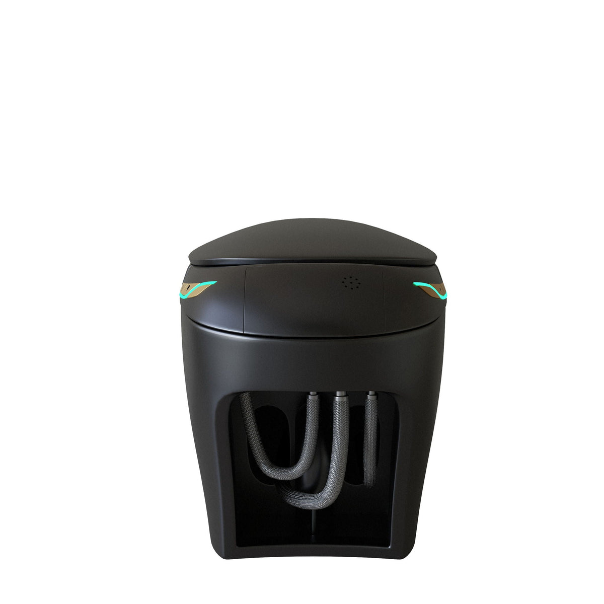 Smart toilet with ceramic bidet in matte black by HouseOfZazla, exposed plumbing hoses on Tampa Home & Garden Store