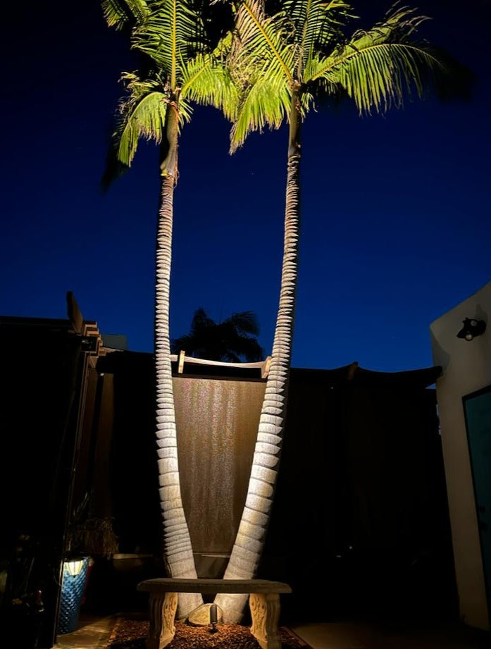 Projecteur en laiton noir Stelvio éclairage paysager basse tension 12V