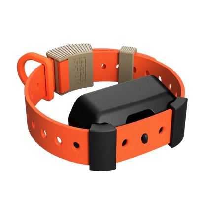 Training Collar Setup orange Hoss Straps hunting dog collar with black receiver module on Tampa Home & Garden Store