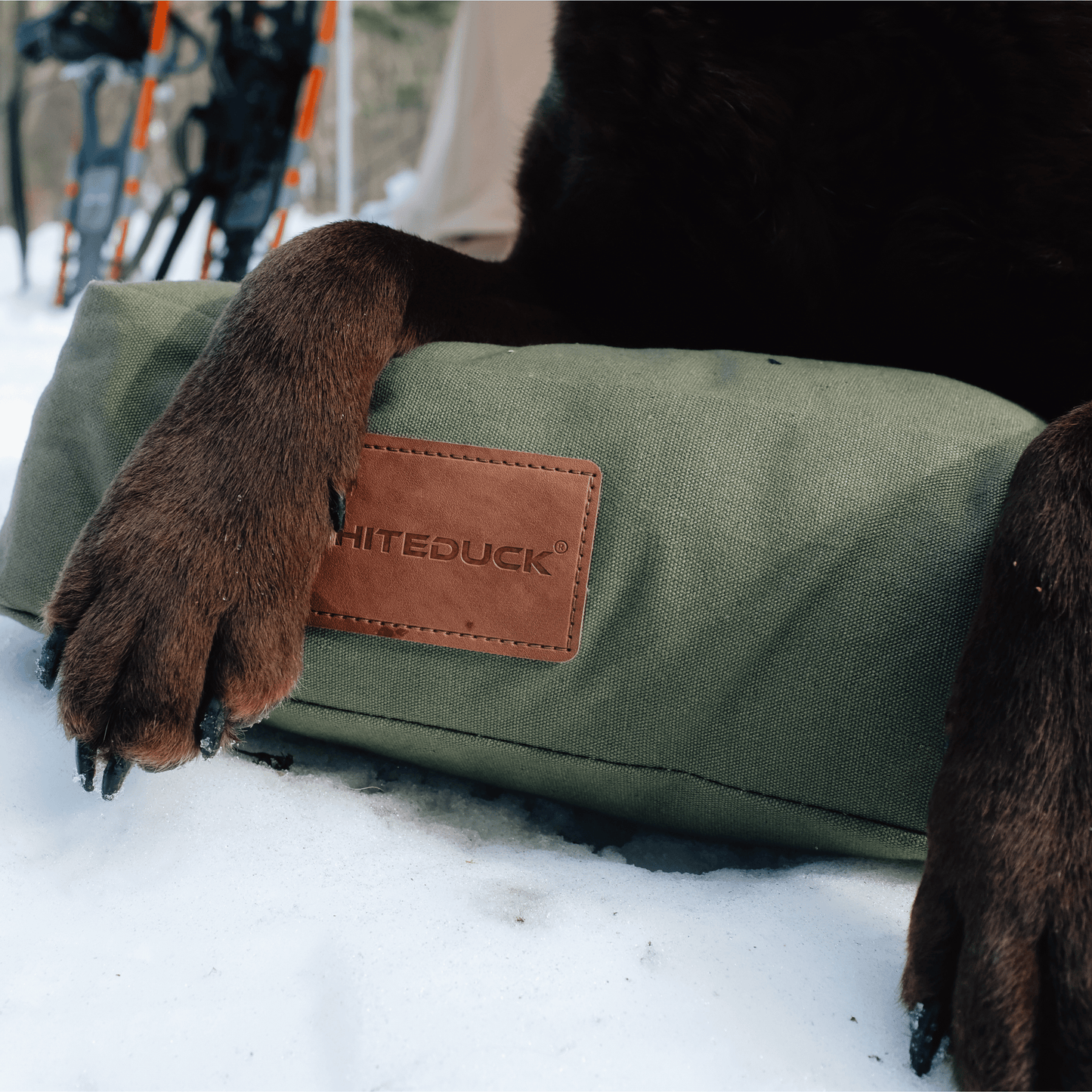 Dog Beds & Dog Bed Covers