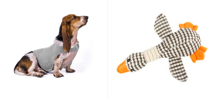 Anxiety jacket vest for dogs in gray worn on dachshund; knitted bone toy with orange ends on Tampa Home & Garden Store