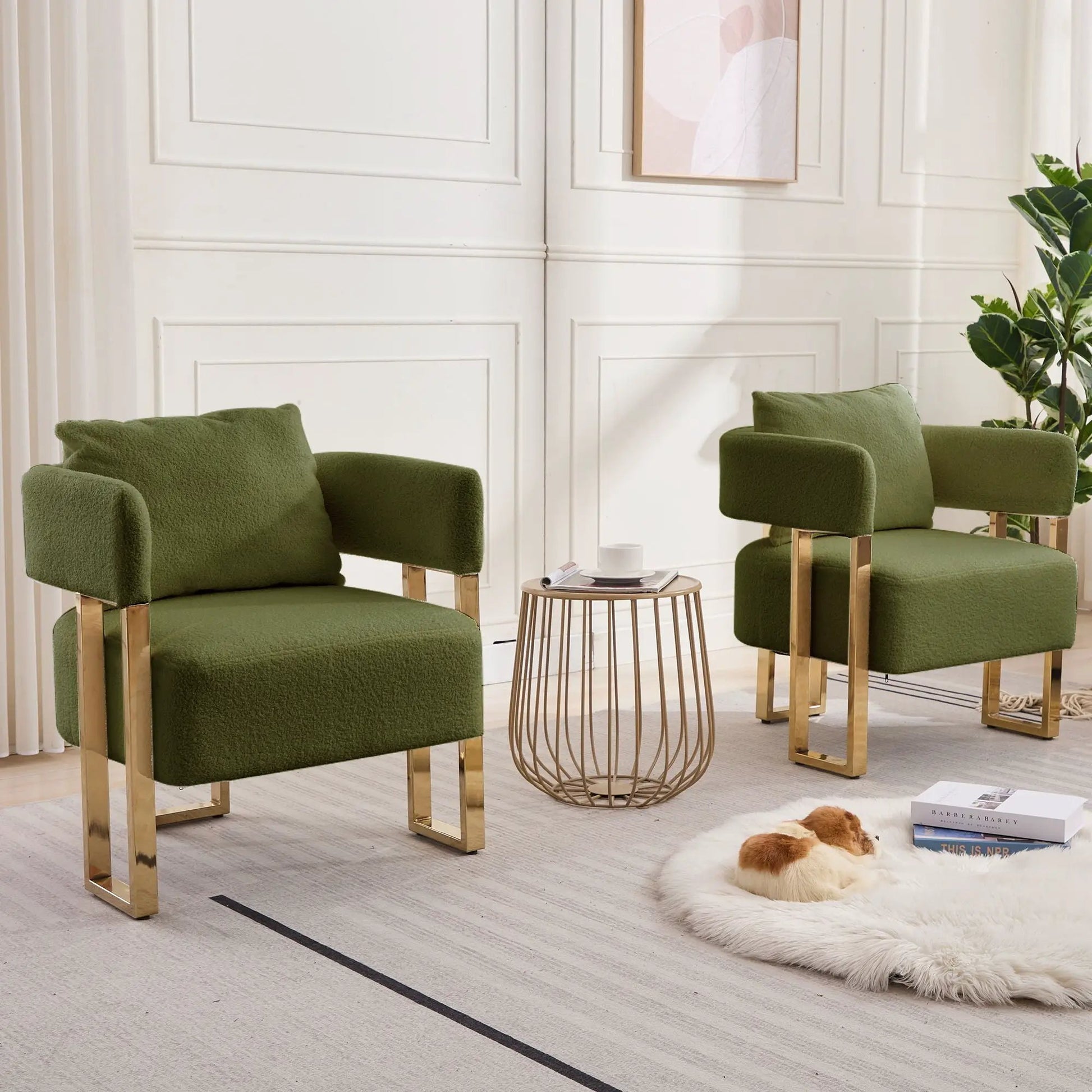 Pair of green teddy fleece upholstered armchairs with gold metal frames on Tampa Home & Garden Store