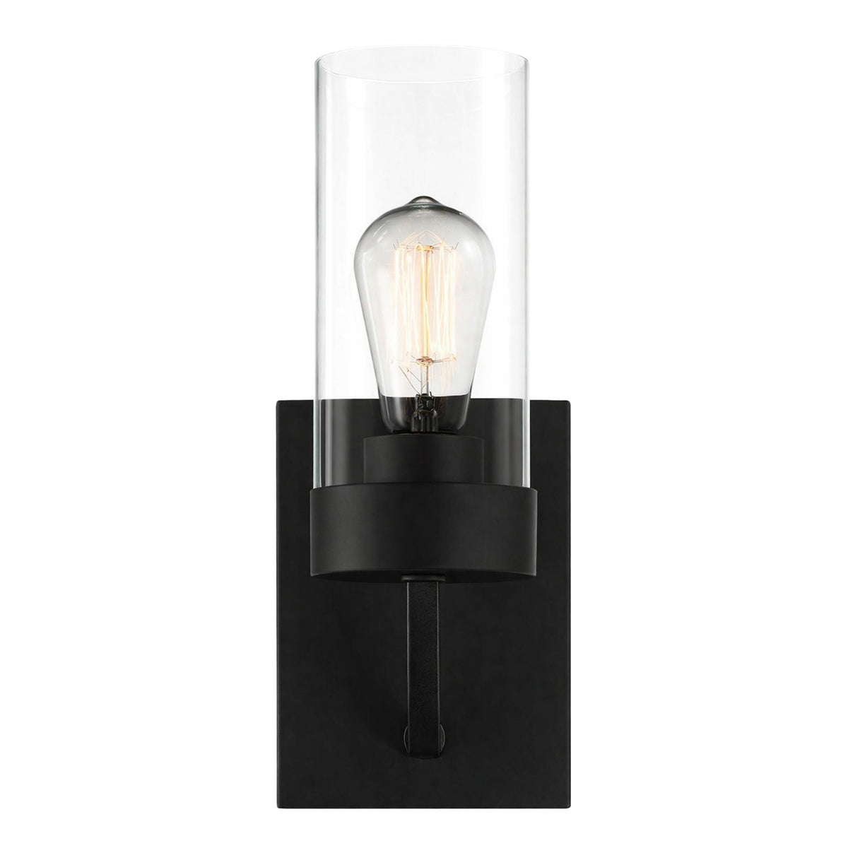 Zephyr single light sconce in black metal with clear glass shade on Tampa Home & Garden Store