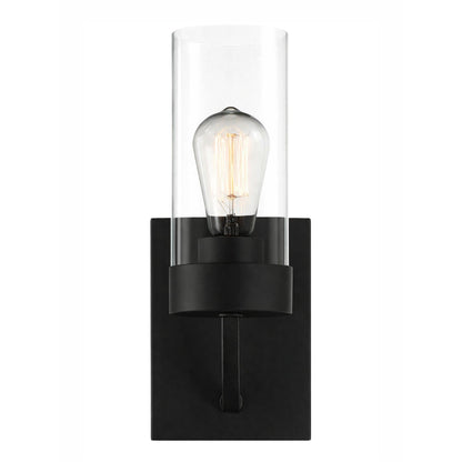 Zephyr single light sconce in black metal with clear glass shade on Tampa Home & Garden Store