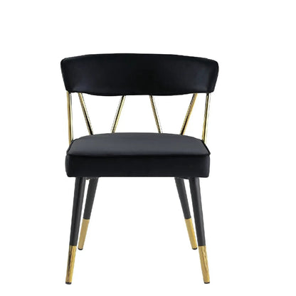 Glam Dining Chairs Set of Two Modern Luxury