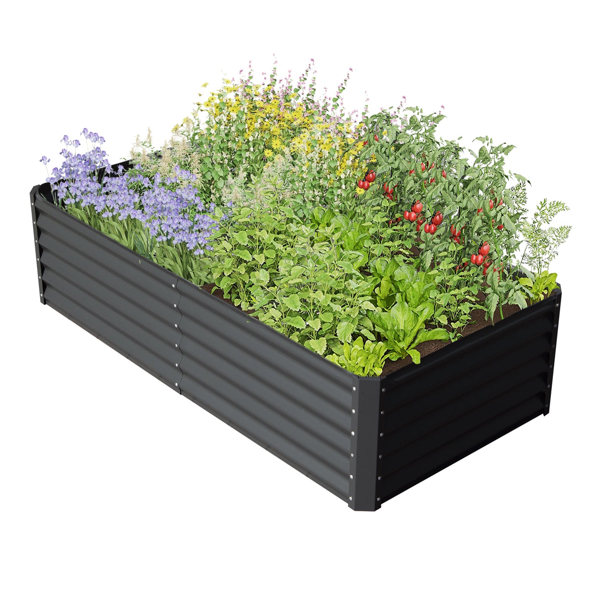8x4x1.5 ft galvanized raised garden bed in dark gray with herbs, flowers, and tomato plants on Tampa Home & Garden Store