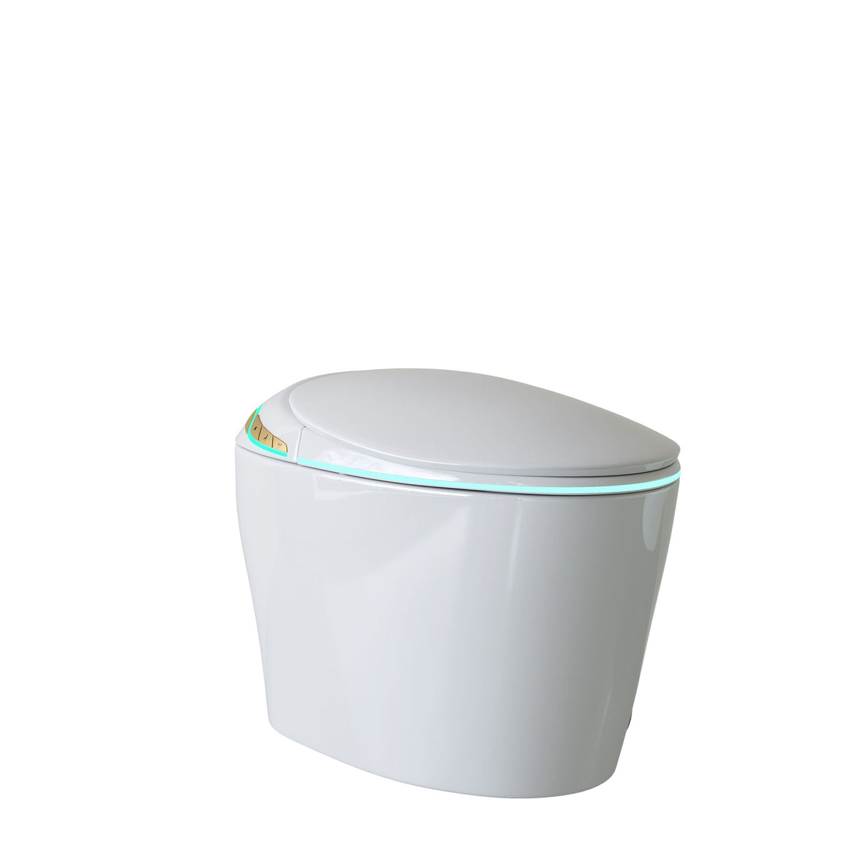 Smart toilet with ceramic bidet and matte black accents by HouseOfZazla, white porcelain on Tampa Home & Garden Store