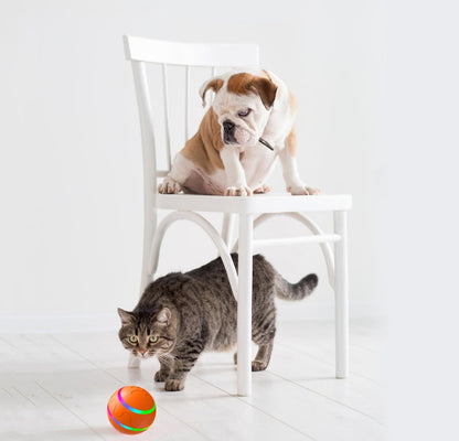Pet Wicked Ball Toy self-rotating USB ball; orange with green stripe, 2 pets nearby on Tampa Home & Garden Store