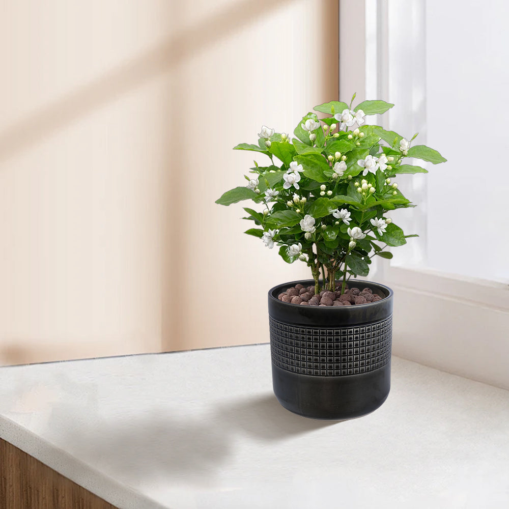 Handmade Garden Pots & Planters black textured pot with white flowers HouseOfZazla Saucer on Tampa Home & Garden Store