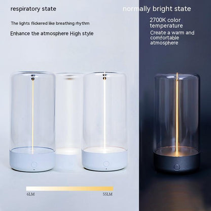 LED camping light Type-C rechargeable night light; three glass cylinder lamps with white bases, brand Sell My Stuff on Tampa Home & Garden Store