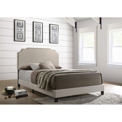 Panel bed with nailhead trim upholstered headboard in light taupe fabric platform bed frame on Tampa Home & Garden Store