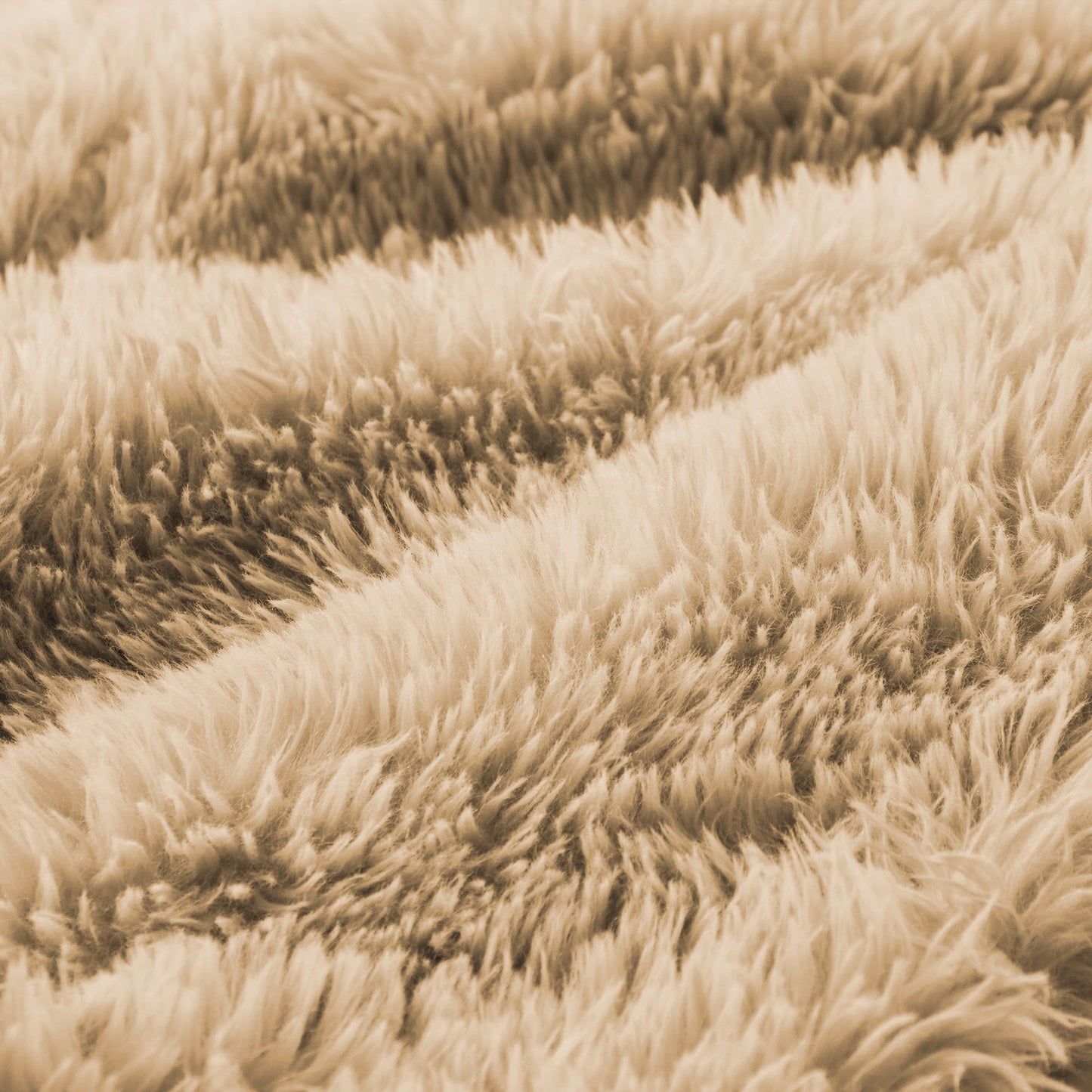 Aviana armless sofa plush fabric in light khaki close-up texture on Tampa Home & Garden Store