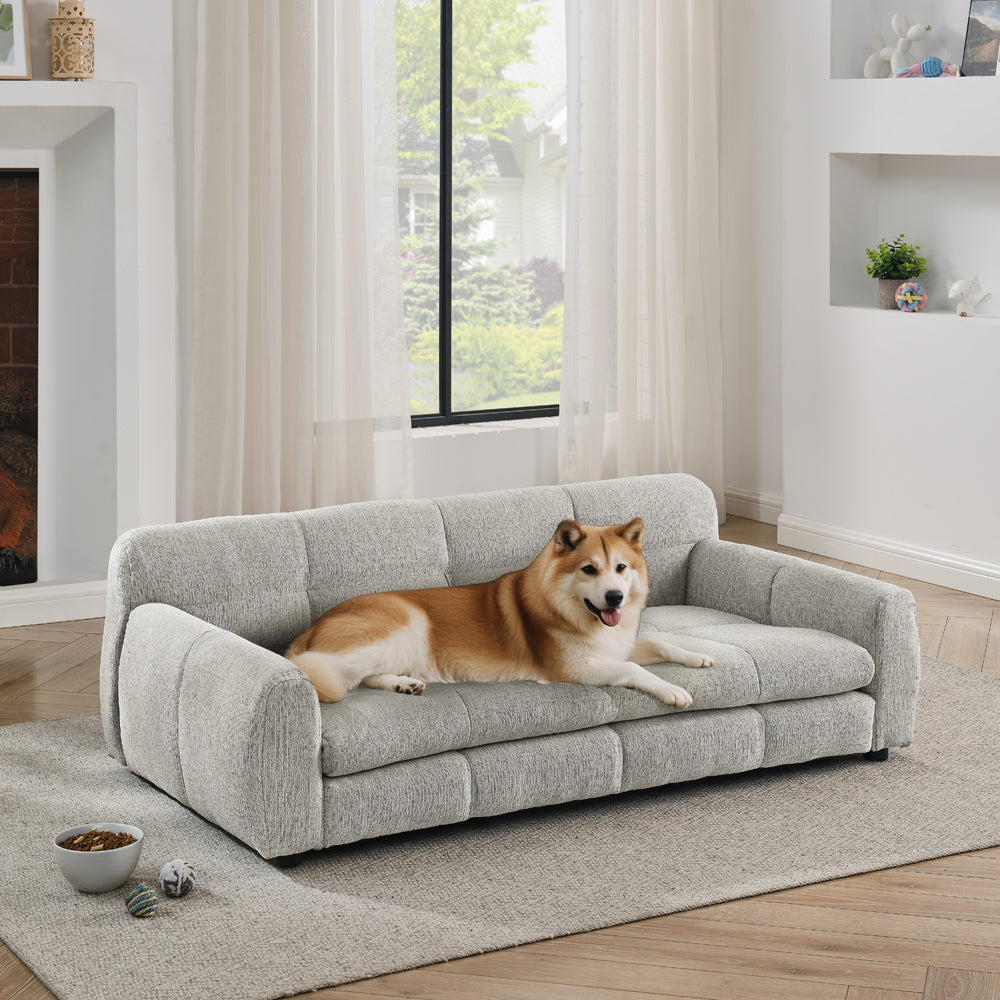 Soft and Comfortable Pet Bed for Big Dogs on a gray sofa with a corgi in a living room on Tampa Home & Garden Store