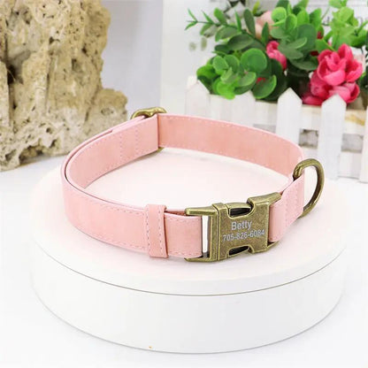 Teddy Corgi dog collar pink leather with brass buckle and Betty engraving on Tampa Home & Garden Store