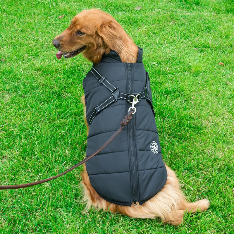 Dog coat Pet Zen black quilted with hood and harness straps for small dogs on Tampa Home & Garden Store