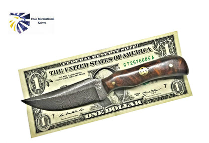 Damascus steel skinner knife with rosewood grip, Titan TD-178 on a dollar bill on Tampa Home & Garden Store