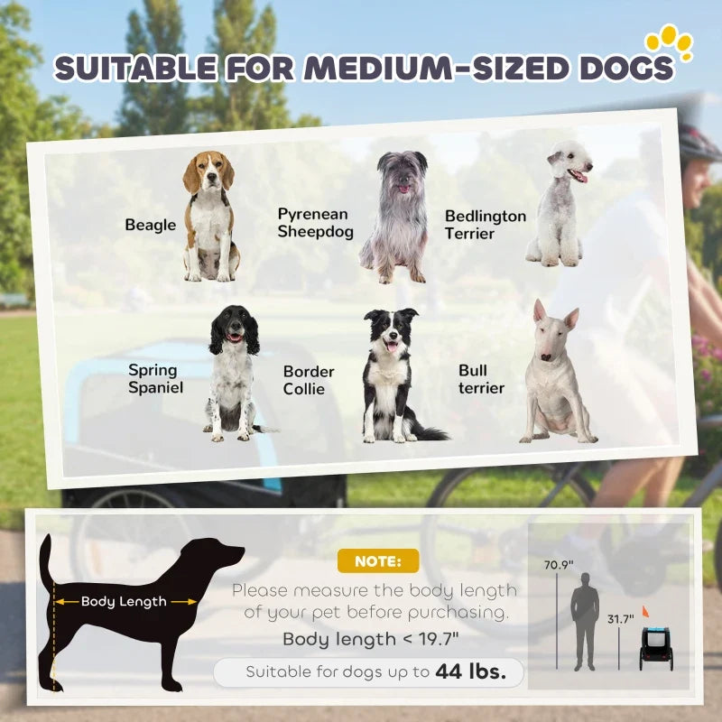 Dog bike trailer from Furr Baby Gifts 20in tires, quick-release wheels and flag for medium dogs on Tampa Home & Garden Store