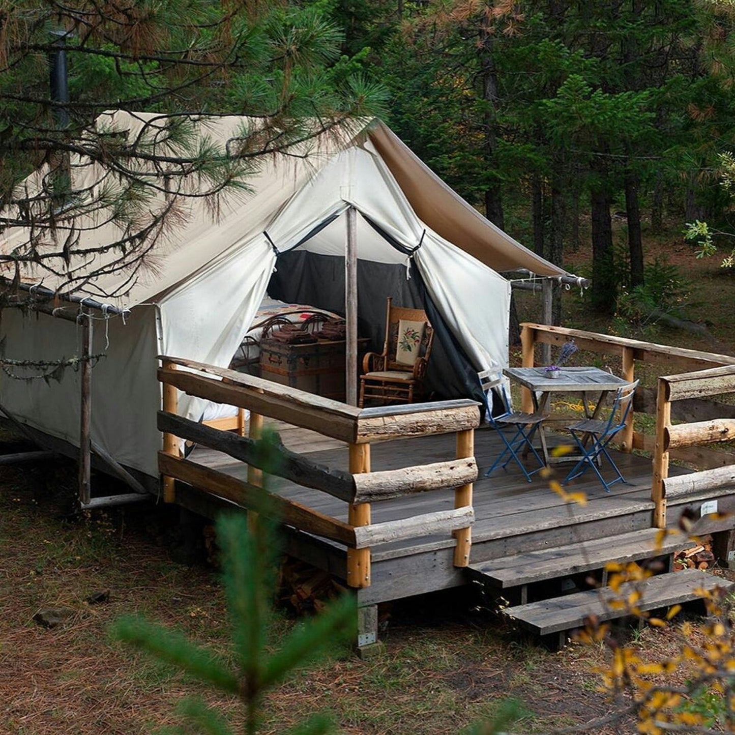 Tienda de pared Alpha de 8'x10'