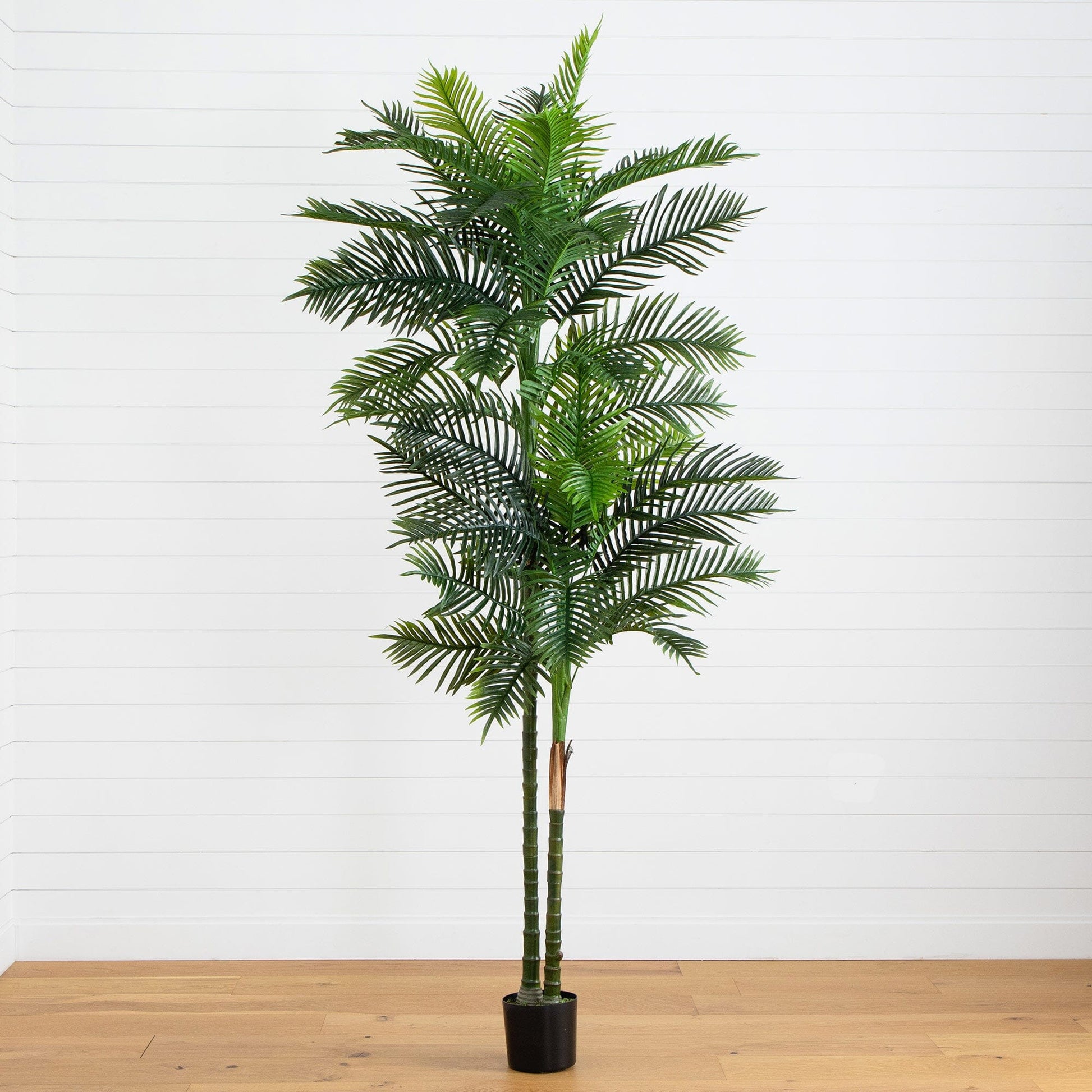 9’ UV Resistant Artificial Double Robellini Palm Tree (Indoor/Outdoor) - Tampa Home & Garden Store