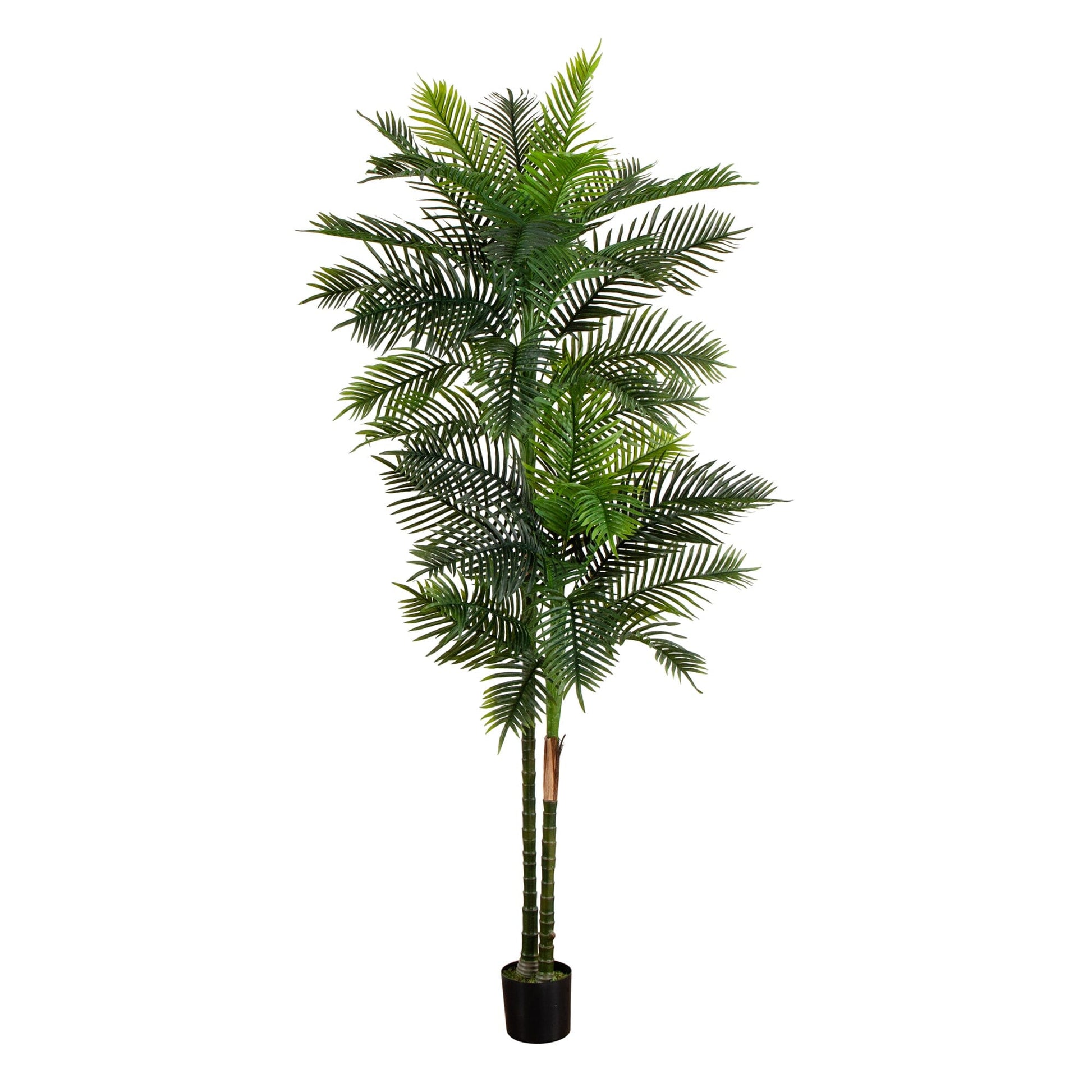 9’ UV Resistant Artificial Double Robellini Palm Tree (Indoor/Outdoor) - Tampa Home & Garden Store