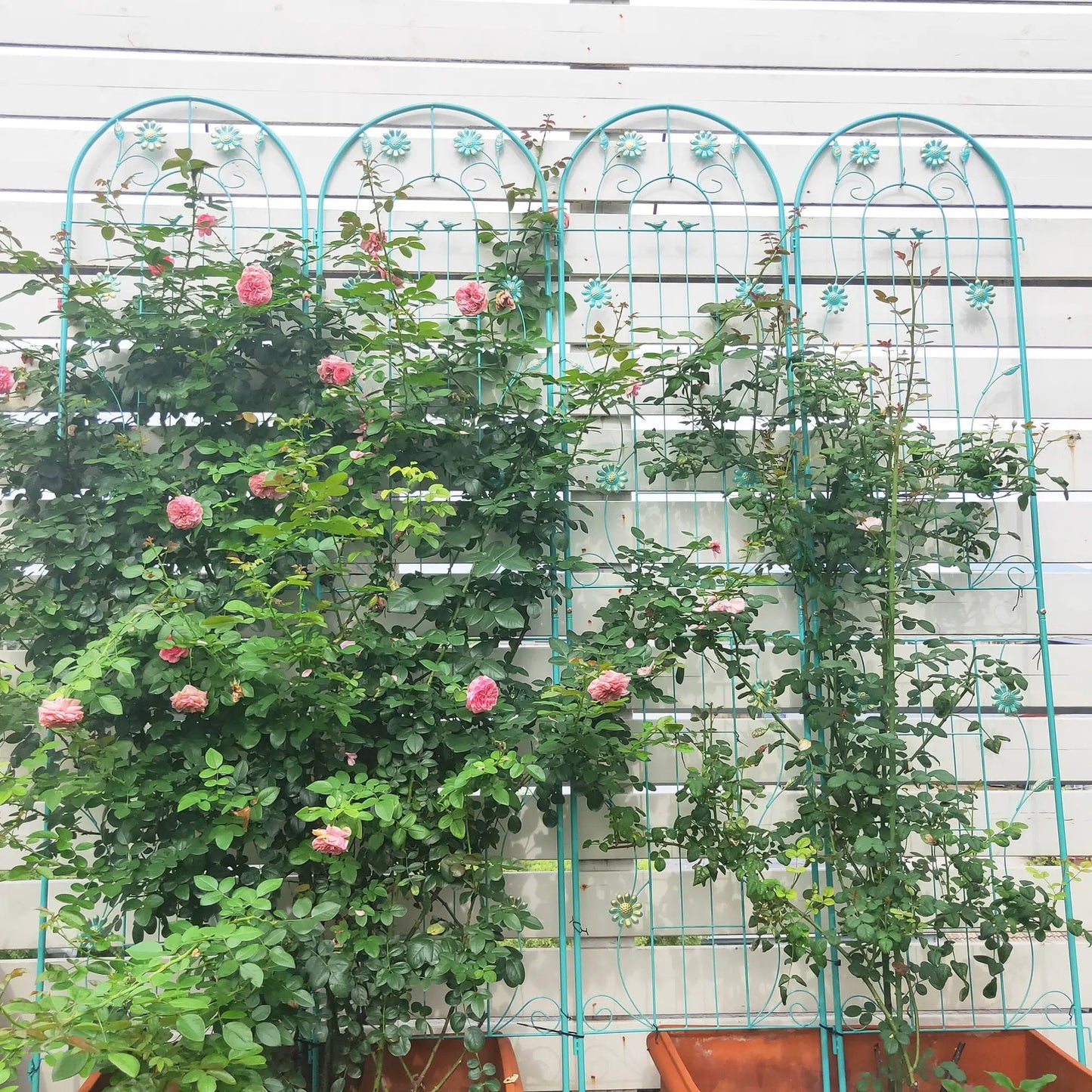 Metal Garden Trellis for Climbing Plants Outdoor