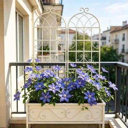Metal Trellis For Climbing Plants And Vines