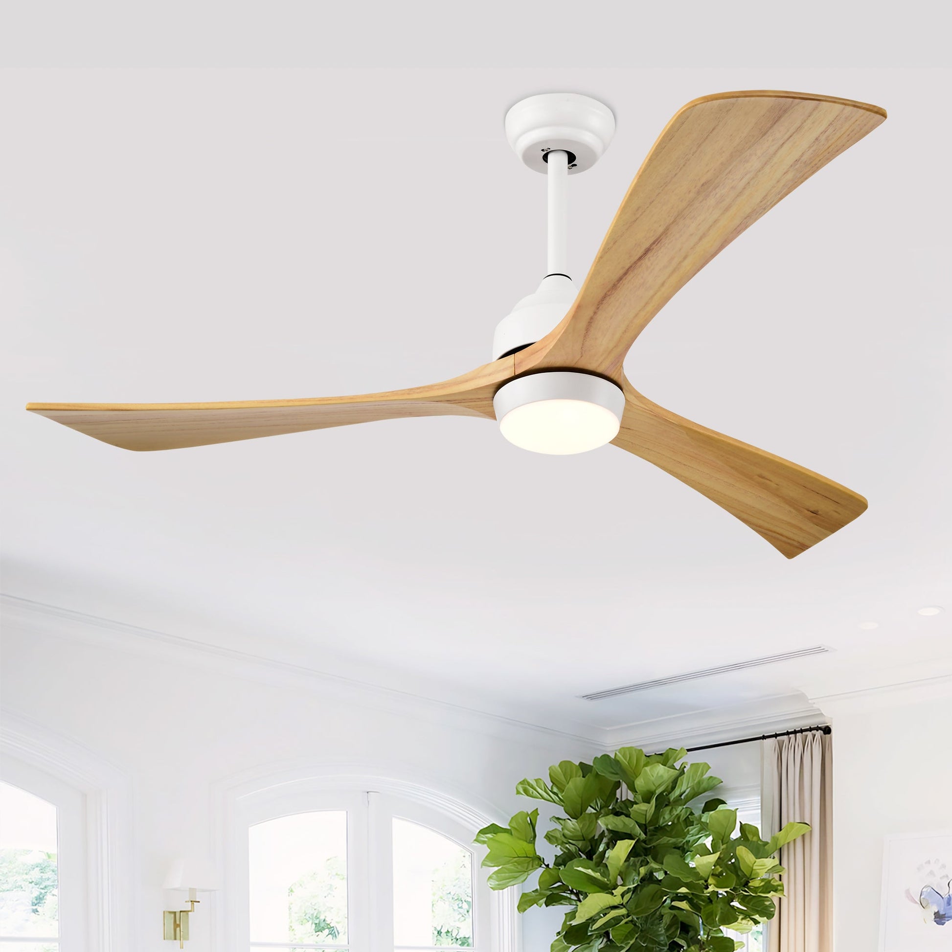 52-inch ceiling fan with solid wood blades, white motor housing, built-in light, remote on Tampa Home & Garden Store
