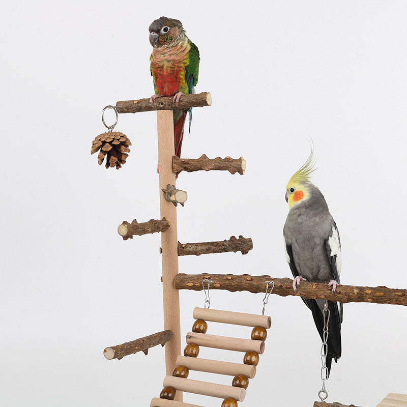 Sichuan Pepper Parrot Climbing Platform bird swing with wooden branches ladder rungs two parrots on Tampa Home & Garden Store